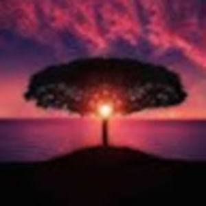 Meet your Posher, Amelia